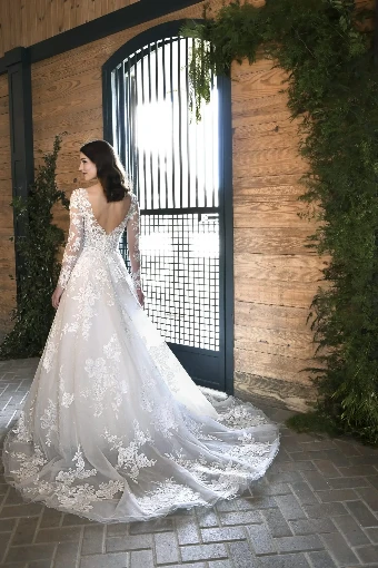 Essense of Australia - OTR Style #D3358 #5 (IV-AL) Ivory Lace Tulle and Regency Organza over Almond Gown / Long / (CQ) Clear Beading and Glitte thumbnail